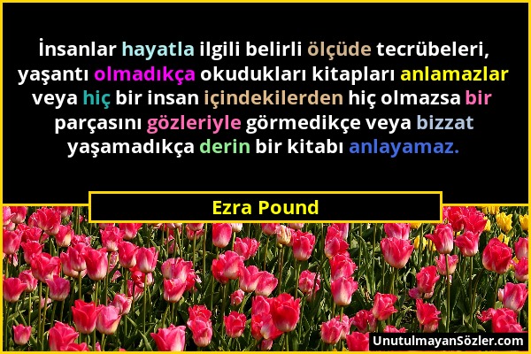 Ezra Pound - İnsanlar hayatla ilgili belirli ölçüde tecrübeleri, yaşantı olmadıkça okudukları kitapları anlamazlar veya hiç bir insan içindekilerden h...