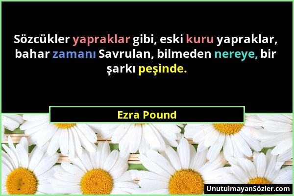 Ezra Pound - Sözcükler yapraklar gibi, eski kuru yapraklar, bahar zamanı Savrulan, bilmeden nereye, bir şarkı peşinde....