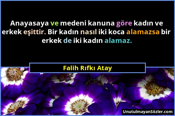 Falih Rıfkı Atay - Anayasaya ve medeni kanuna göre kadın ve erkek eşittir. Bir kadın nasıl iki koca alamazsa bir erkek de iki kadın alamaz....