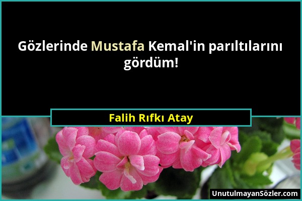 Falih Rıfkı Atay - Gözlerinde Mustafa Kemal'in parıltılarını gördüm!...
