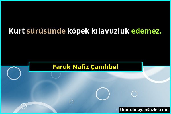 Faruk Nafiz Çamlıbel - Kurt sürüsünde köpek kılavuzluk edemez....