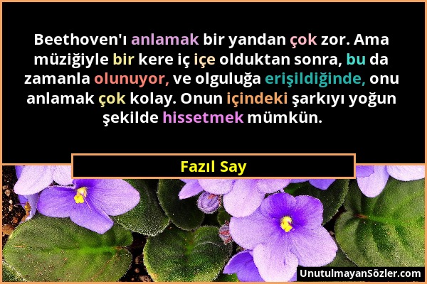 Fazıl Say - Beethoven'ı anlamak bir yandan çok zor. Ama müziğiyle bir kere iç içe olduktan sonra, bu da zamanla olunuyor, ve olguluğa erişildiğinde, o...