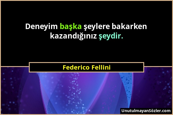 Federico Fellini - Deneyim başka şeylere bakarken kazandığınız şeydir....