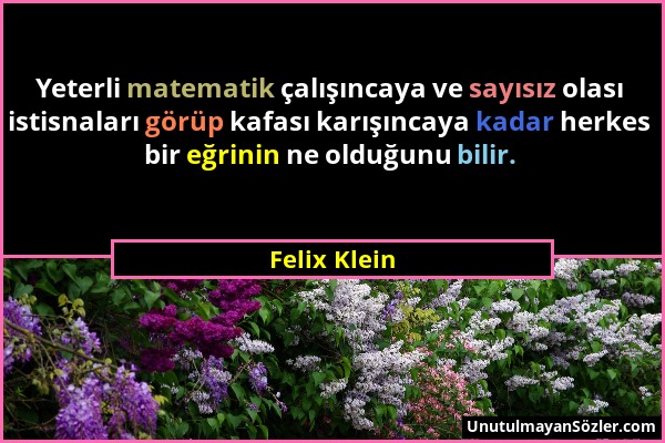 Felix Klein - Yeterli matematik çalışıncaya ve sayısız olası istisnaları görüp kafası karışıncaya kadar herkes bir eğrinin ne olduğunu bilir....