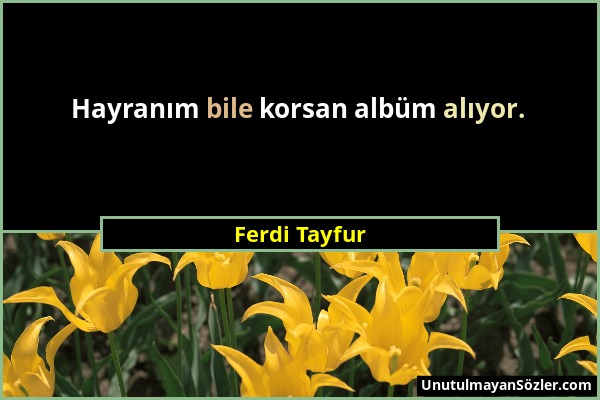 Ferdi Tayfur - Hayranım bile korsan albüm alıyor....