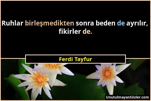 Ferdi Tayfur - Ruhlar birleşmedikten sonra beden de ayrılır, fikirler de....