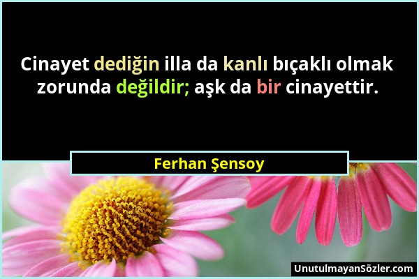 Ferhan Şensoy - Cinayet dediğin illa da kanlı bıçaklı olmak zorunda değildir; aşk da bir cinayettir....