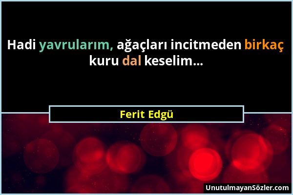 Ferit Edgü - Hadi yavrularım, ağaçları incitmeden birkaç kuru dal keselim......