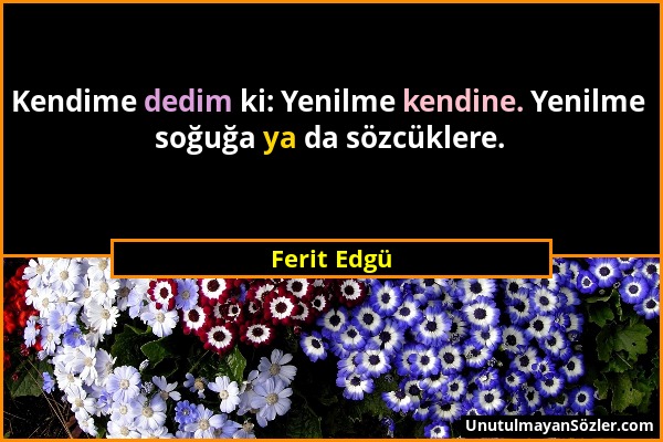 Ferit Edgü - Kendime dedim ki: Yenilme kendine. Yenilme soğuğa ya da sözcüklere....