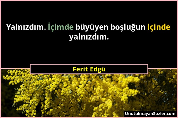 Ferit Edgü - Yalnızdım. İçimde büyüyen boşluğun içinde yalnızdım....