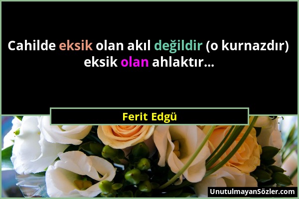 Ferit Edgü - Cahilde eksik olan akıl değildir (o kurnazdır) eksik olan ahlaktır......