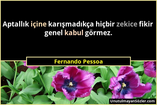 Fernando Pessoa - Aptallık içine karışmadıkça hiçbir zekice fikir genel kabul görmez....
