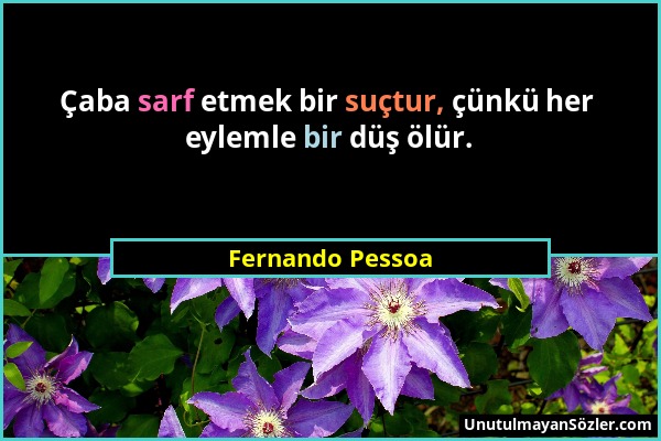 Fernando Pessoa - Çaba sarf etmek bir suçtur, çünkü her eylemle bir düş ölür....