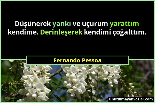 Fernando Pessoa - Düşünerek yankı ve uçurum yarattım kendime. Derinleşerek kendimi çoğalttım....