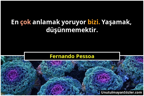 Fernando Pessoa - En çok anlamak yoruyor bizi. Yaşamak, düşünmemektir....