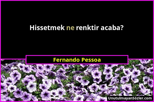 Fernando Pessoa - Hissetmek ne renktir acaba?...