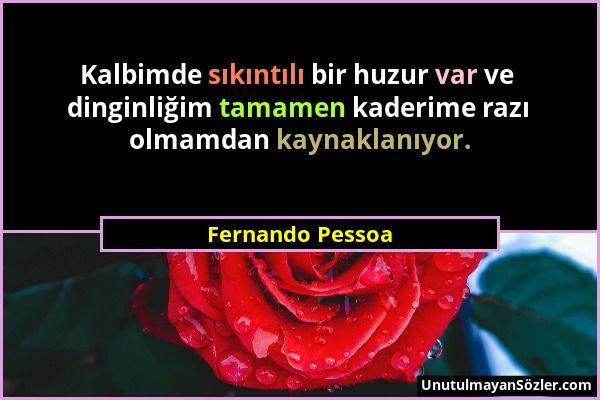 Fernando Pessoa - Kalbimde sıkıntılı bir huzur var ve dinginliğim tamamen kaderime razı olmamdan kaynaklanıyor....