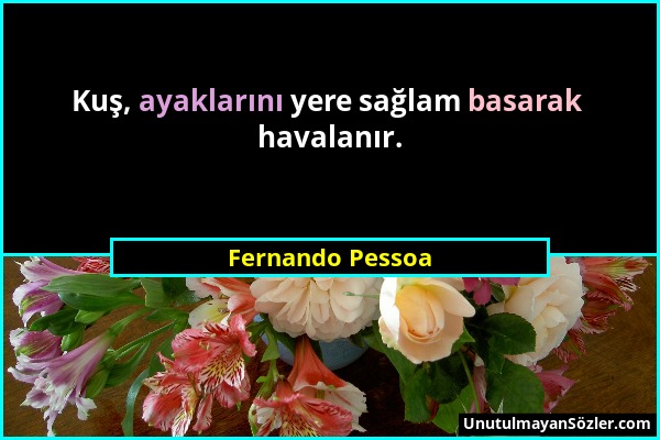 Fernando Pessoa - Kuş, ayaklarını yere sağlam basarak havalanır....