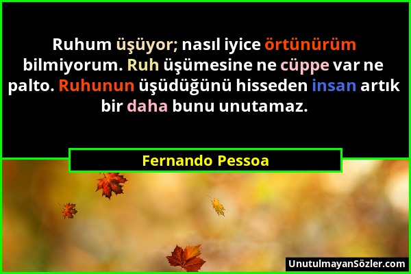 Fernando Pessoa - Ruhum üşüyor; nasıl iyice örtünürüm bilmiyorum. Ruh üşümesine ne cüppe var ne palto. Ruhunun üşüdüğünü hisseden insan artık bir daha...