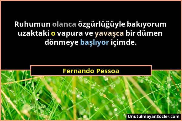 Fernando Pessoa - Ruhumun olanca özgürlüğüyle bakıyorum uzaktaki o vapura ve yavaşca bir dümen dönmeye başlıyor içimde....