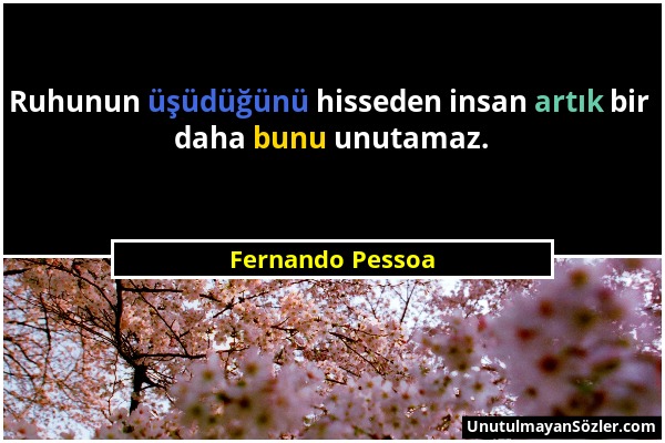 Fernando Pessoa - Ruhunun üşüdüğünü hisseden insan artık bir daha bunu unutamaz....