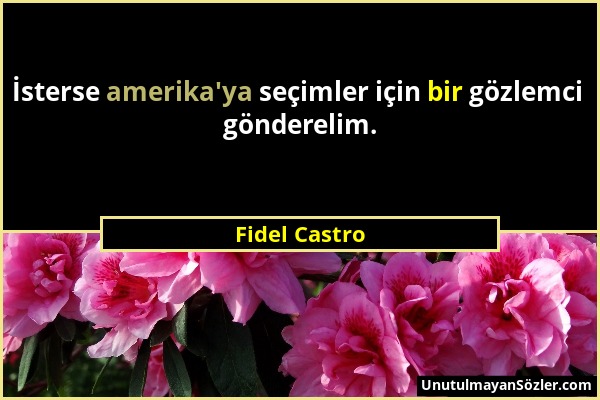 Fidel Castro - İsterse amerika'ya seçimler için bir gözlemci gönderelim....