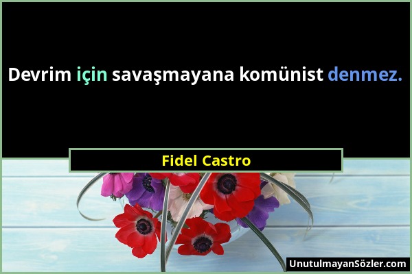 Fidel Castro - Devrim için savaşmayana komünist denmez....