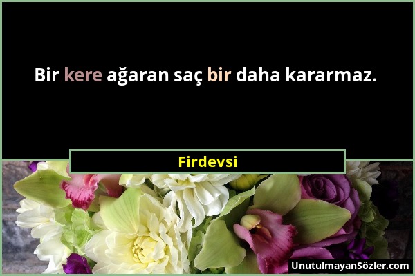 Firdevsi - Bir kere ağaran saç bir daha kararmaz....