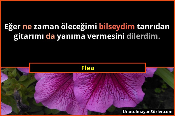 Flea - Eğer ne zaman öleceğimi bilseydim tanrıdan gitarımı da yanıma vermesini dilerdim....