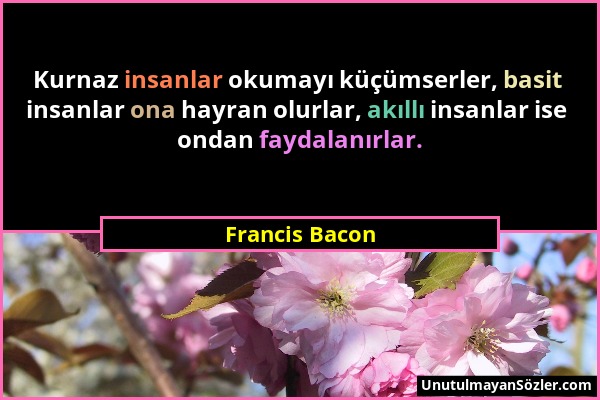 Francis Bacon - Kurnaz insanlar okumayı küçümserler, basit insanlar ona hayran olurlar, akıllı insanlar ise ondan faydalanırlar....