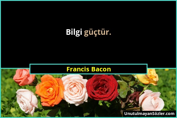 Francis Bacon - Bilgi güçtür....