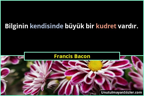 Francis Bacon - Bilginin kendisinde büyük bir kudret vardır....