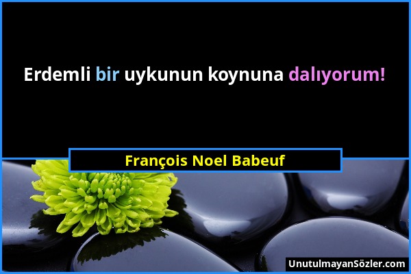 François Noel Babeuf - Erdemli bir uykunun koynuna dalıyorum!...