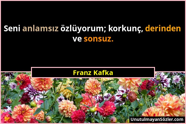 Franz Kafka - Seni anlamsız özlüyorum; korkunç, derinden ve sonsuz....