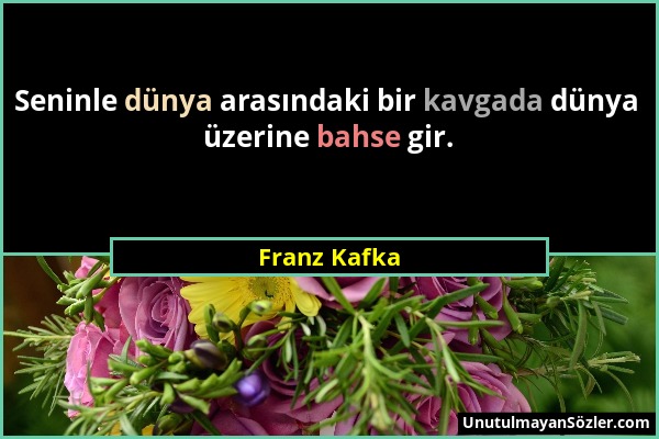 Franz Kafka - Seninle dünya arasındaki bir kavgada dünya üzerine bahse gir....