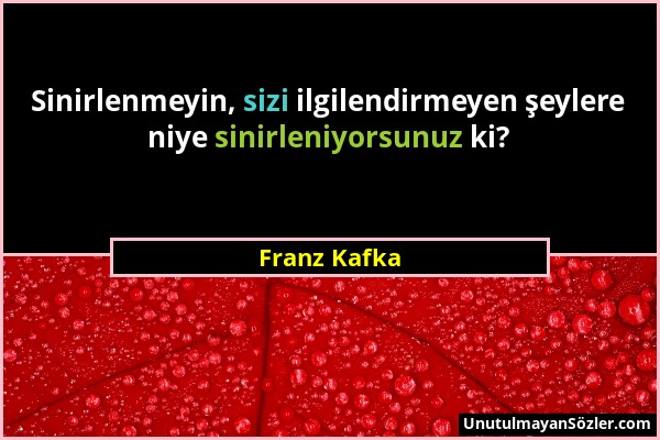Franz Kafka - Sinirlenmeyin, sizi ilgilendirmeyen şeylere niye sinirleniyorsunuz ki?...