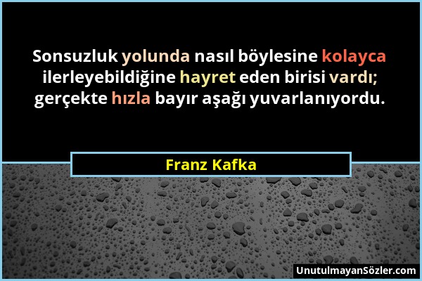 Franz Kafka - Sonsuzluk yolunda nasıl böylesine kolayca ilerleyebildiğine hayret eden birisi vardı; gerçekte hızla bayır aşağı yuvarlanıyordu....