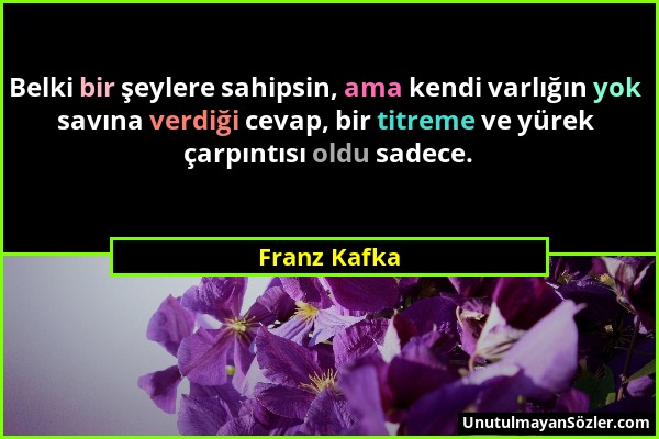 Franz Kafka - Belki bir şeylere sahipsin, ama kendi varlığın yok savına verdiği cevap, bir titreme ve yürek çarpıntısı oldu sadece....