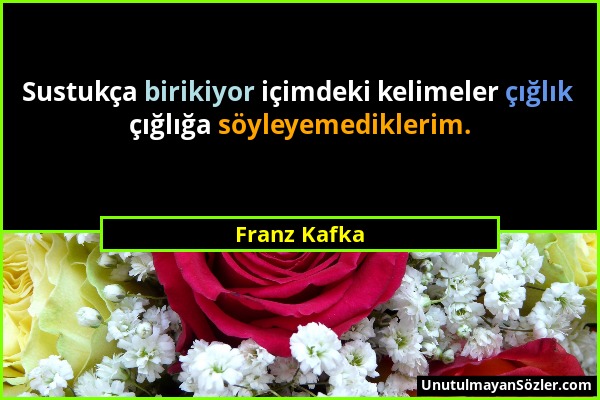 Franz Kafka - Sustukça birikiyor içimdeki kelimeler çığlık çığlığa söyleyemediklerim....