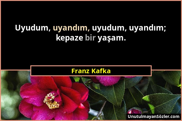 Franz Kafka - Uyudum, uyandım, uyudum, uyandım; kepaze bir yaşam....