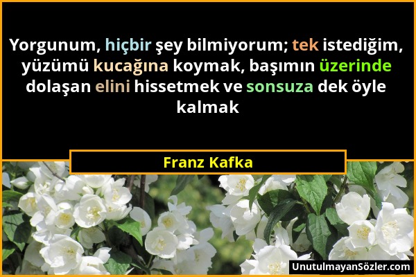 Franz Kafka - Yorgunum, hiçbir şey bilmiyorum; tek istediğim, yüzümü kucağına koymak, başımın üzerinde dolaşan elini hissetmek ve sonsuza dek öyle kal...