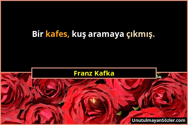 Franz Kafka - Bir kafes, kuş aramaya çıkmış....