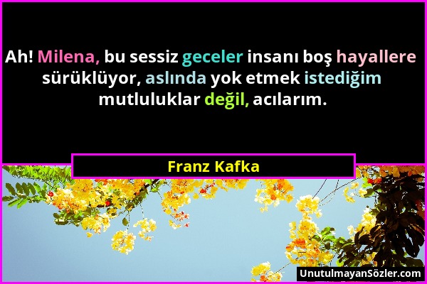 Franz Kafka - Ah! Milena, bu sessiz geceler insanı boş hayallere sürüklüyor, aslında yok etmek istediğim mutluluklar değil, acılarım....