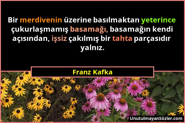 Franz Kafka - Bir merdivenin üzerine basılmaktan yeterince çukurlaşmamış basamağı, basamağın kendi açısından, işsiz çakılmış bir tahta parçasıdır yaln...