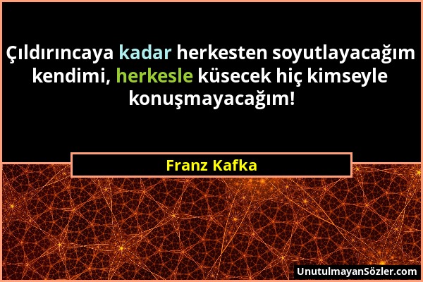 Franz Kafka - Çıldırıncaya kadar herkesten soyutlayacağım kendimi, herkesle küsecek hiç kimseyle konuşmayacağım!...