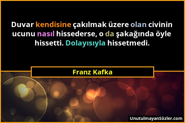 Franz Kafka - Duvar kendisine çakılmak üzere olan civinin ucunu nasıl hissederse, o da şakağında öyle hissetti. Dolayısıyla hissetmedi....