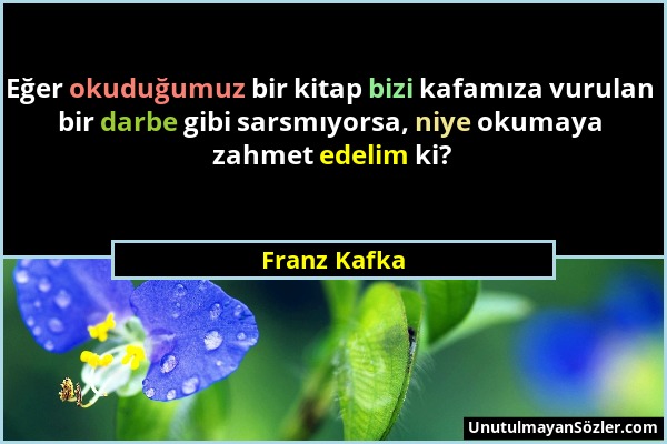 Franz Kafka - Eğer okuduğumuz bir kitap bizi kafamıza vurulan bir darbe gibi sarsmıyorsa, niye okumaya zahmet edelim ki?...