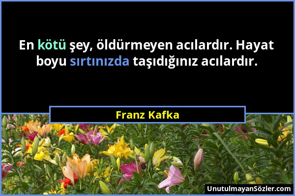 Franz Kafka - En kötü şey, öldürmeyen acılardır. Hayat boyu sırtınızda taşıdığınız acılardır....