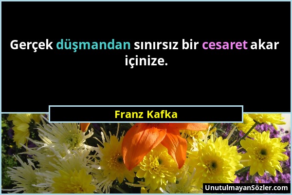 Franz Kafka - Gerçek düşmandan sınırsız bir cesaret akar içinize....