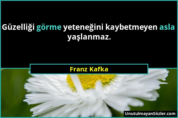 Franz Kafka - Güzelliği görme yeteneğini kaybetmeyen asla yaşlanmaz....